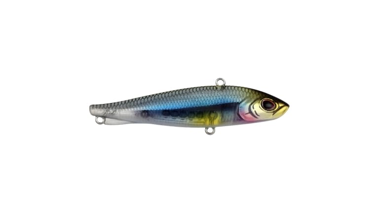 Berkley Ripfish - MNWA