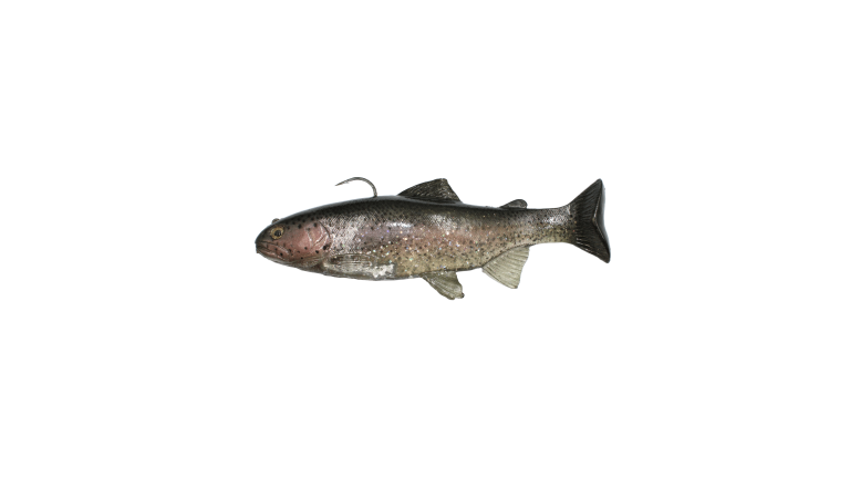 Huddleston Deluxe 8" Trout - HB