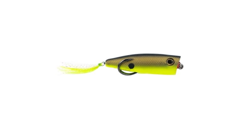 Snag Proof Zoo Pop - 50