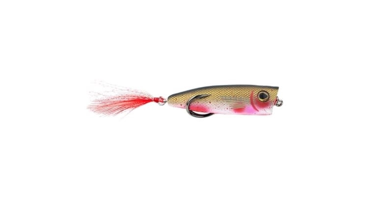 Snag Proof Zoo Pop - 53