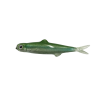 Evergreen Last Ace 75 - Style: 156