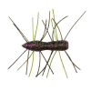 Z-Man Fuzzy Bugz - Style: 316