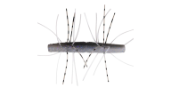 Z-Man Fuzzy TRD - 388 - Thumbnail