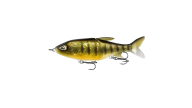 13 Fishing Glidesdale - 65 - Thumbnail