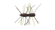 Z-Man Fuzzy Bugz - 316 - Thumbnail