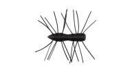 Z-Man Fuzzy Bugz - 348 - Thumbnail
