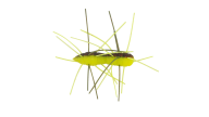 Z-Man Fuzzy Bugz - 109 - Thumbnail