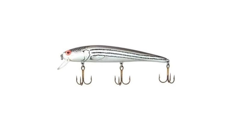 Bomber Long A - AXBS