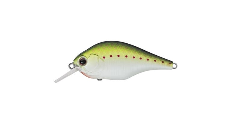 Evergreen ZR-4 Zeruch Crankbait - 373