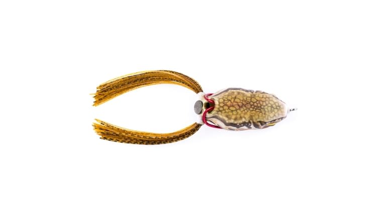 Scum Frog Launch Frogs - Scum_Frog_Launch_Frog_Sloppy-Toad_L-2346_03