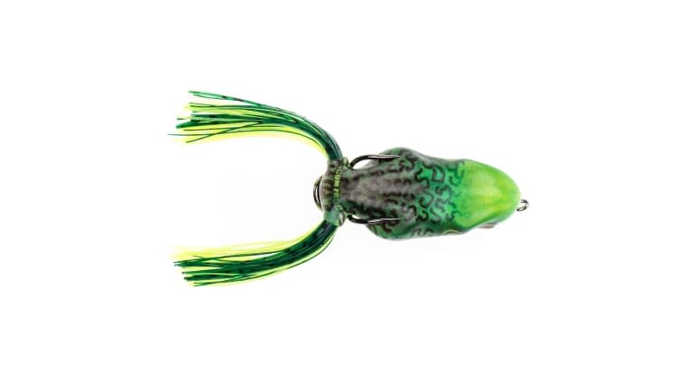 Scum Frog Painted Trophy Series Frogs - Scum_Frog_Painted_Trophy_Bullfrog_TS-1146-02