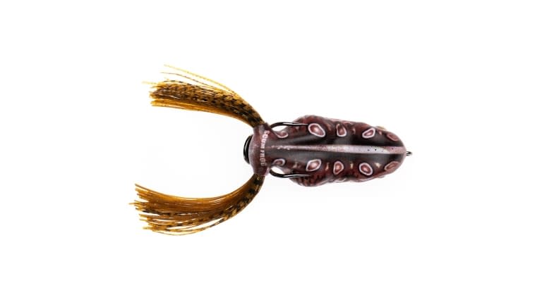 Scum Frog Painted Trophy Series Frogs - Scum_Frog_Painted_Trophy_Toadly-Cool_TS-1147-02