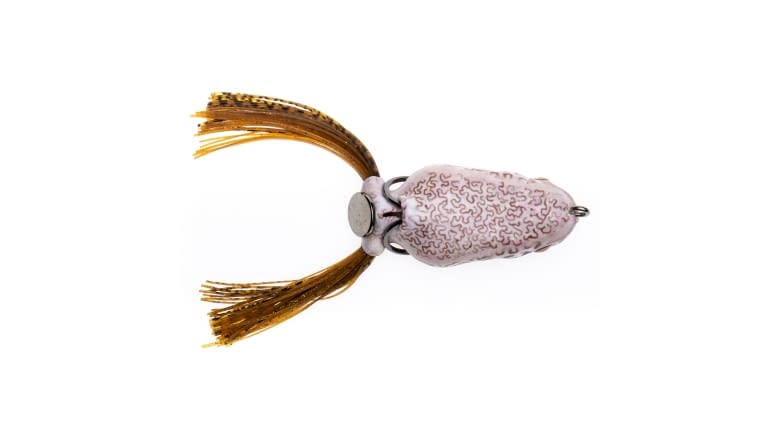 Scum Frog Painted Trophy Series Frogs - Scum_Frog_Painted_Trophy_Toadly-Cool_TS-1147-03