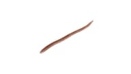 Jackall Flick Shake - PW - Thumbnail