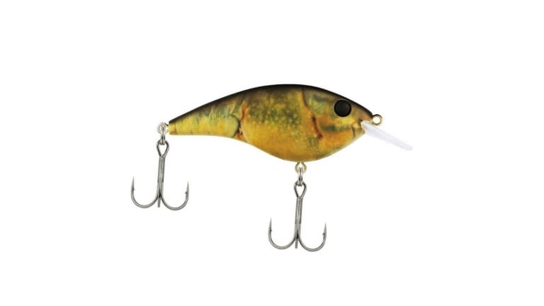 Berkley Frittside - HDGRC