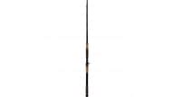 Phenix Black Diamond Hybrid Inshore Rods - Thumbnail